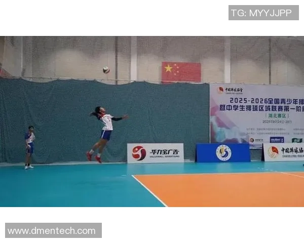 武汉排球队的节奏解析与深度剖析排球运动的魅力与挑战 武汉排球队的节奏解析与深度剖析排球运动的魅力与挑战