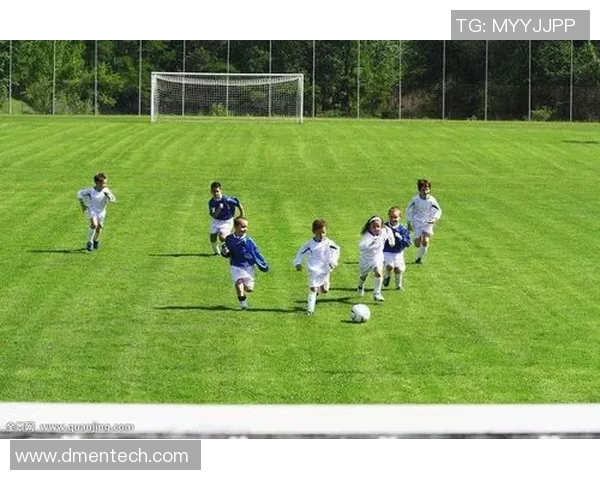 西安足球队的崛起与挑战全景解析及未来展望 西安足球队的崛起与挑战全景解析及未来展望