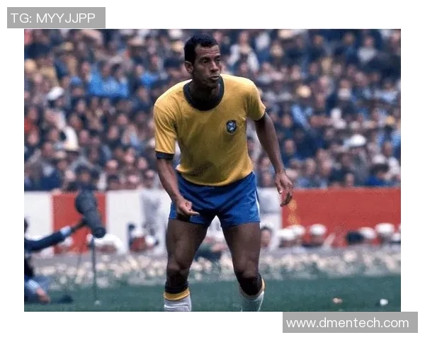 巴西传奇足球明星的辉煌人生与足球梦想的电影之旅 巴西传奇足球明星的辉煌人生与足球梦想的电影之旅